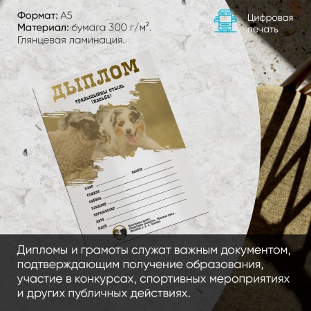 Дипломы и грамоты Дипломы и грамоты