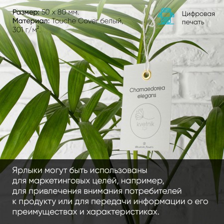 Бирки