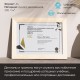 Дипломы и грамоты Дипломы и грамоты