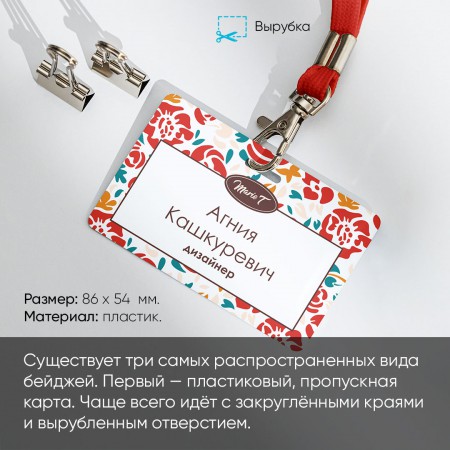 Бейджи Бейджи