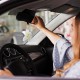 Авто ароматизаторы Авто ароматизаторы